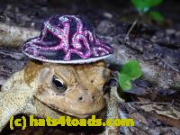 /home//u458753944/public_html/sourcegallery//McKaig Nature Center/2020-09-27/P9270692.JPG